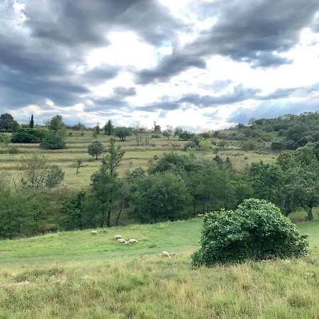 And Large, Beautiful Pool Apartment