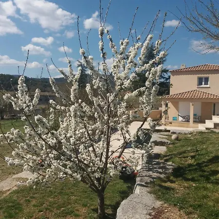 And Large, Beautiful Pool Apartment
